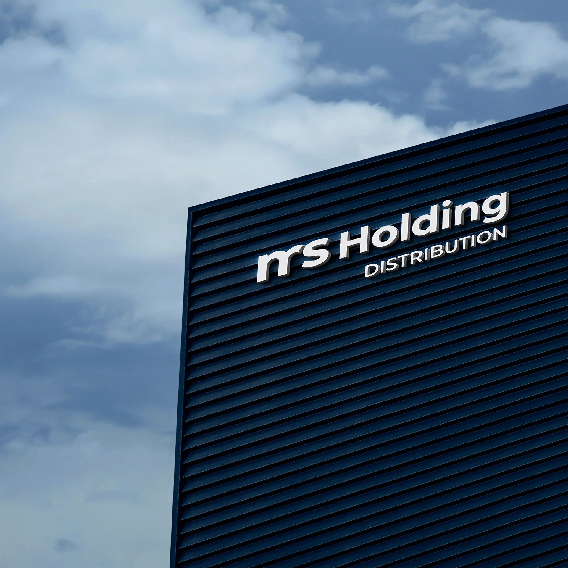 MS Holding - იმპორტი და დისტრიბუცია
